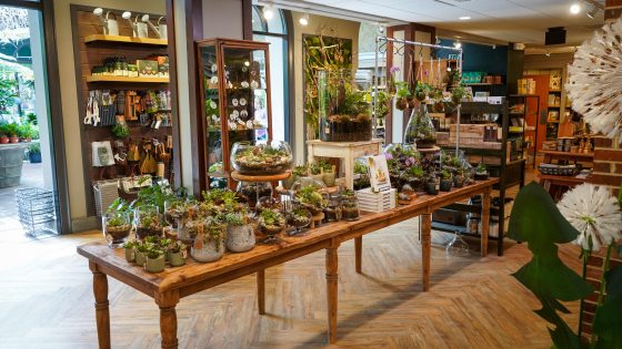 The Garden Shop at Longwood Gardens featuring a table of planted terraiums.